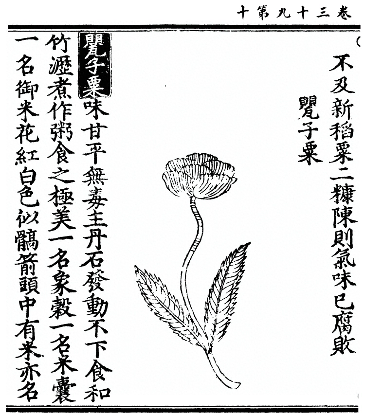 p. 3069