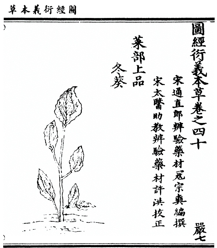 第 3073 页