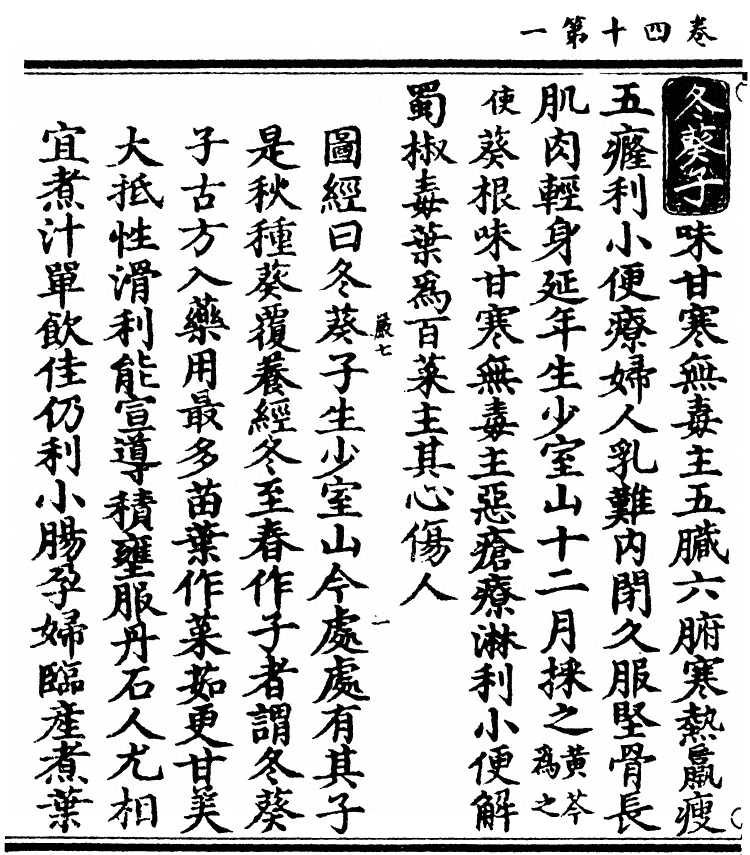 p. 3074