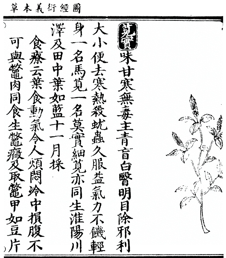 第 3099 页