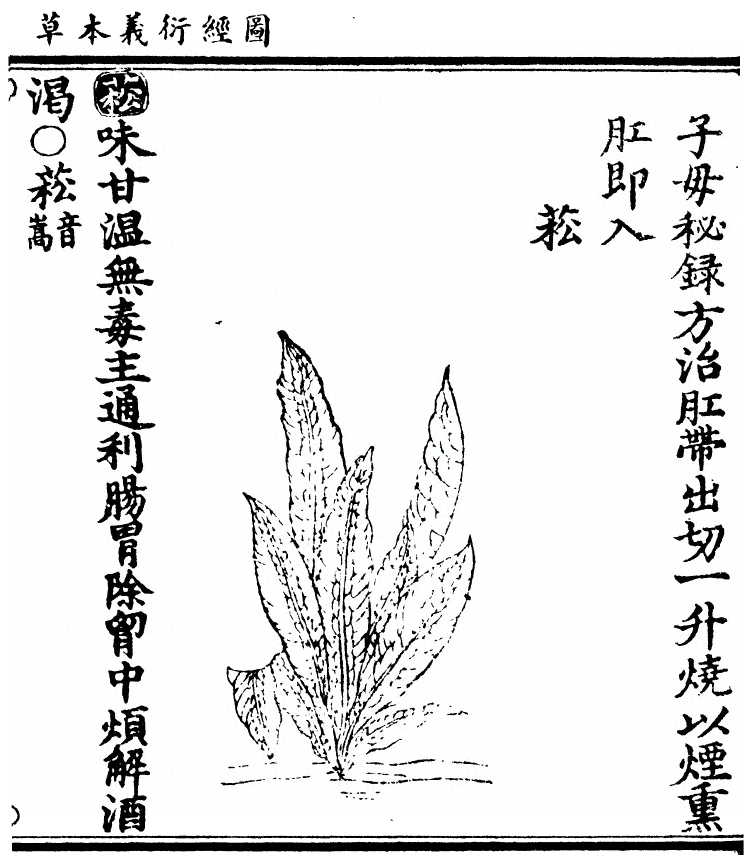 第 3103 页