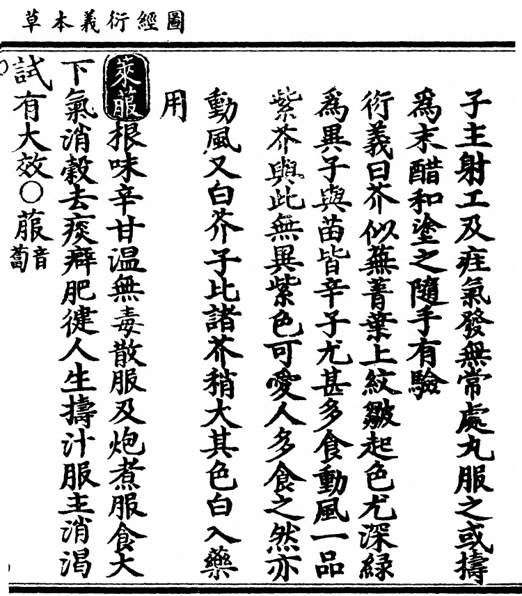 第 3119 页