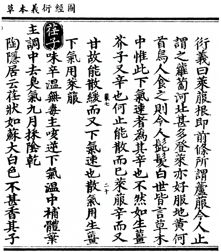第 3121 页