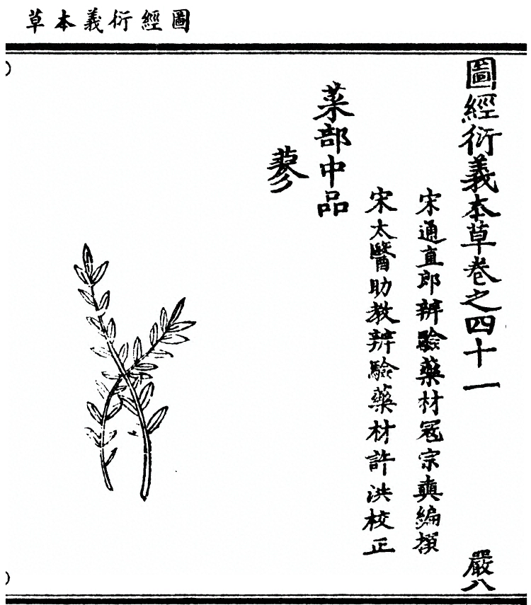 第 3131 页