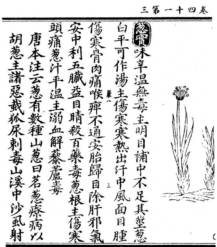 p. 3136