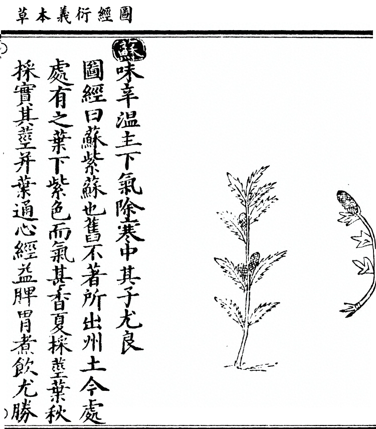 p. 3153
