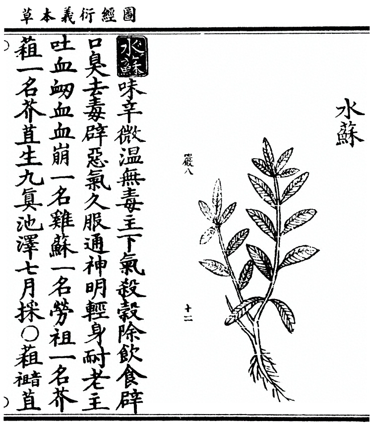 第 3159 页