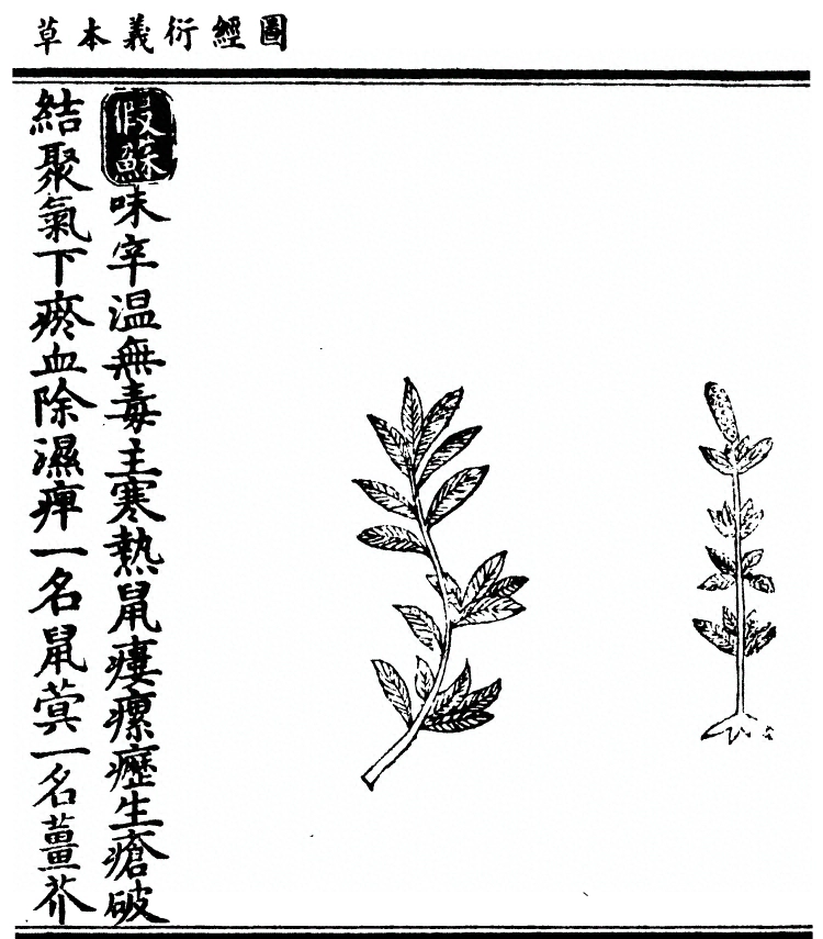 第 3167 页