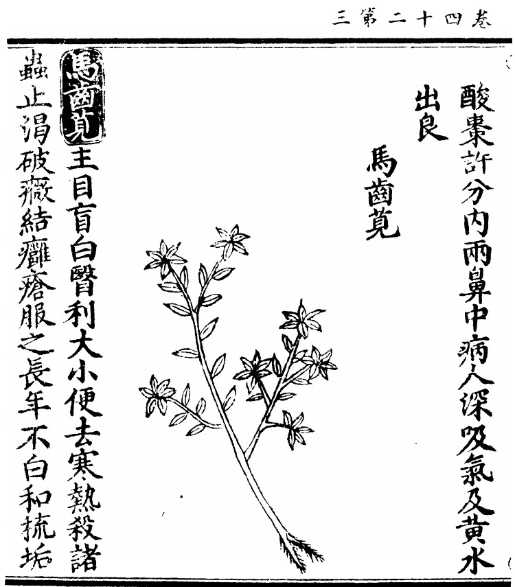 第 3183 页