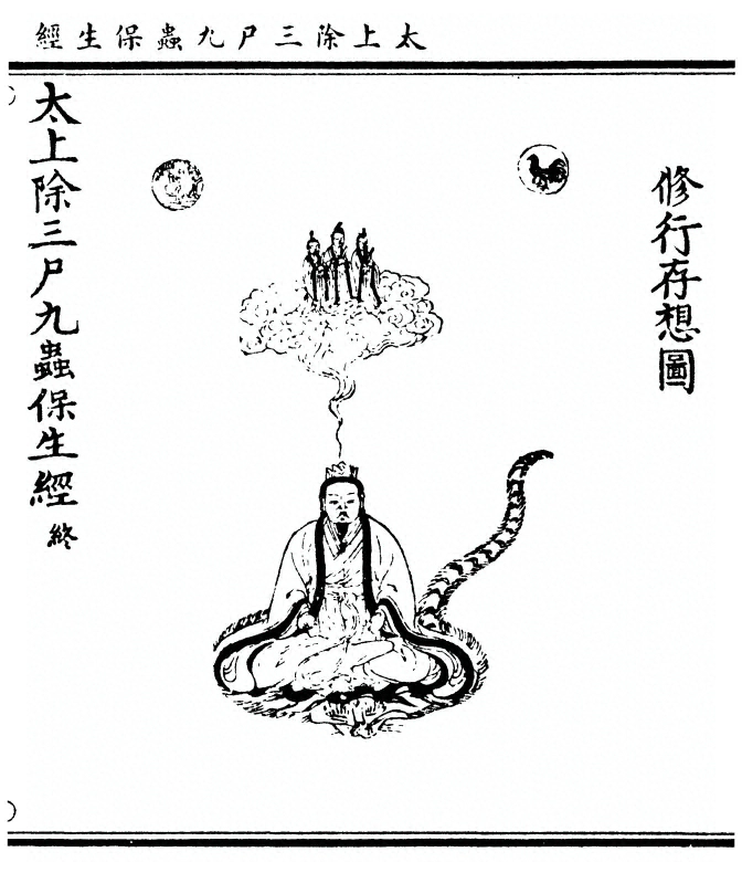 第 49 页