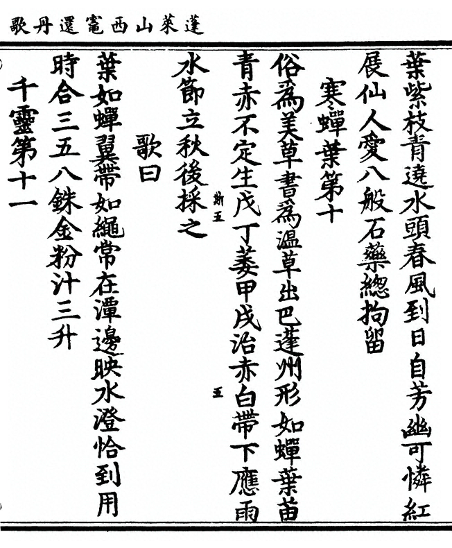 第 11 页
