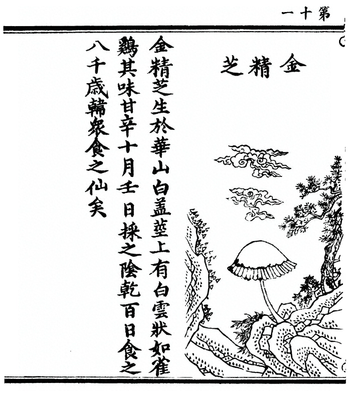 p. 22