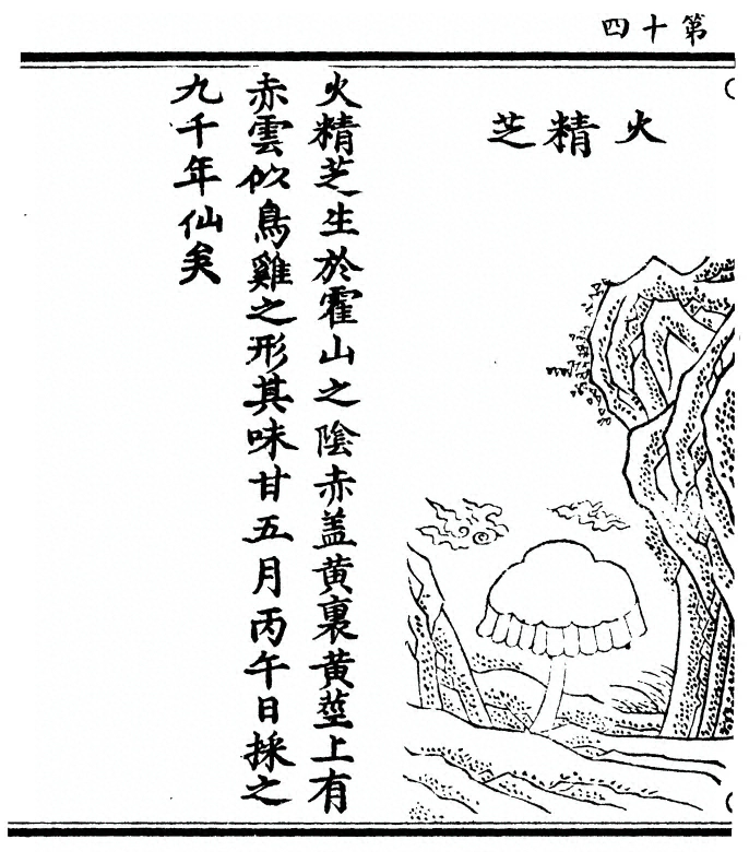 p. 28