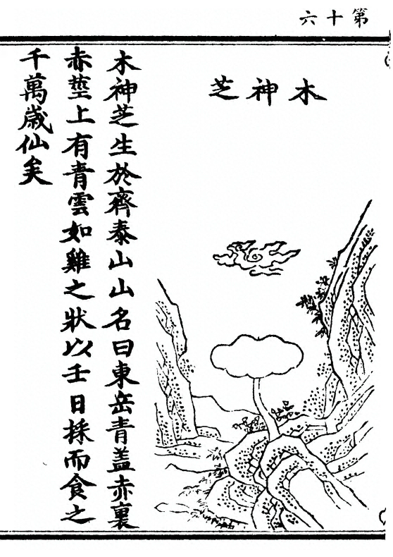 p. 32