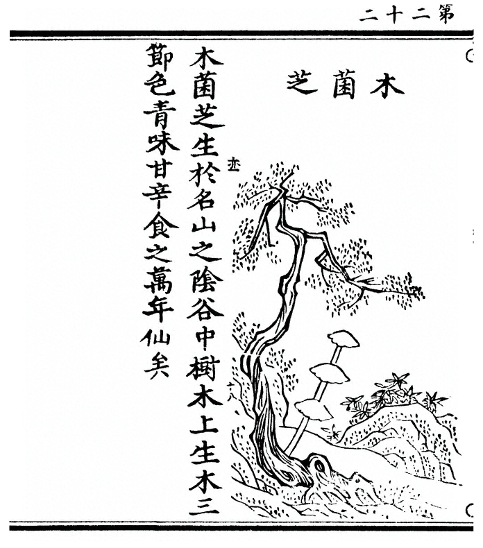 p. 44
