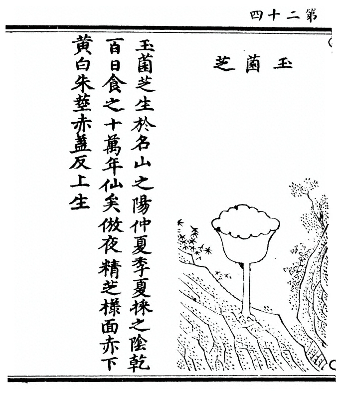 p. 48