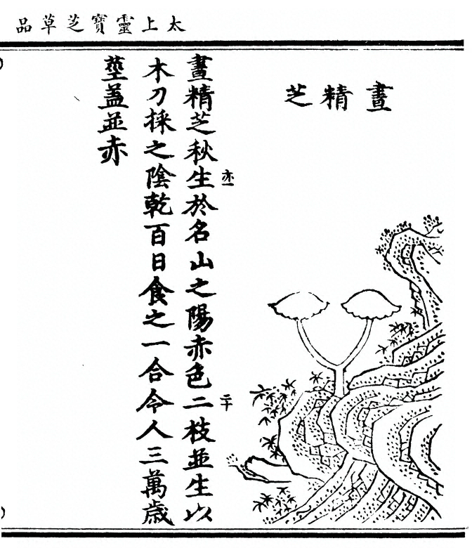 p. 49