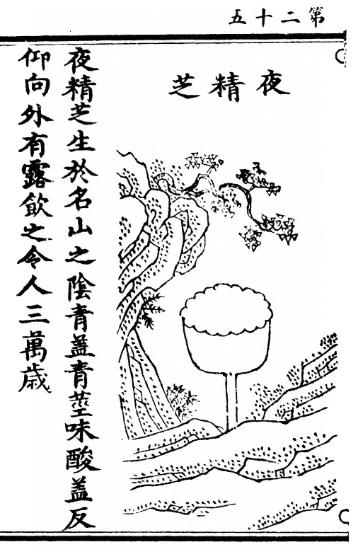 第 50 页