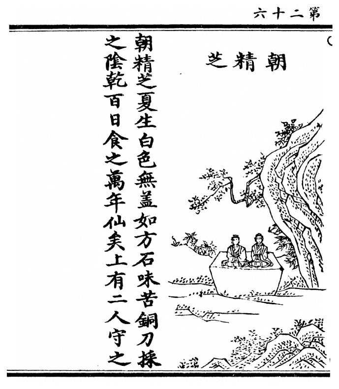 p. 52