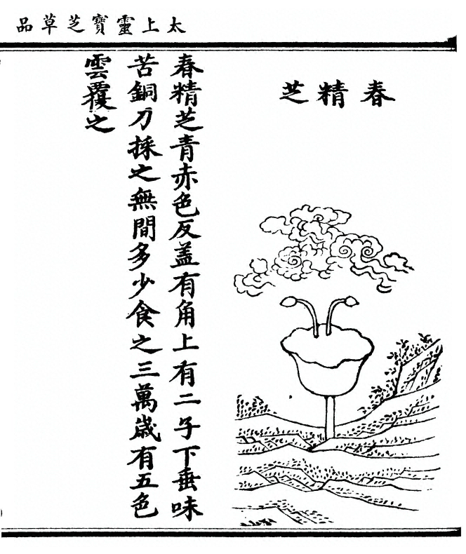 p. 53