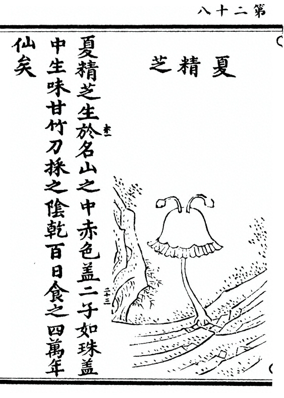 p. 56