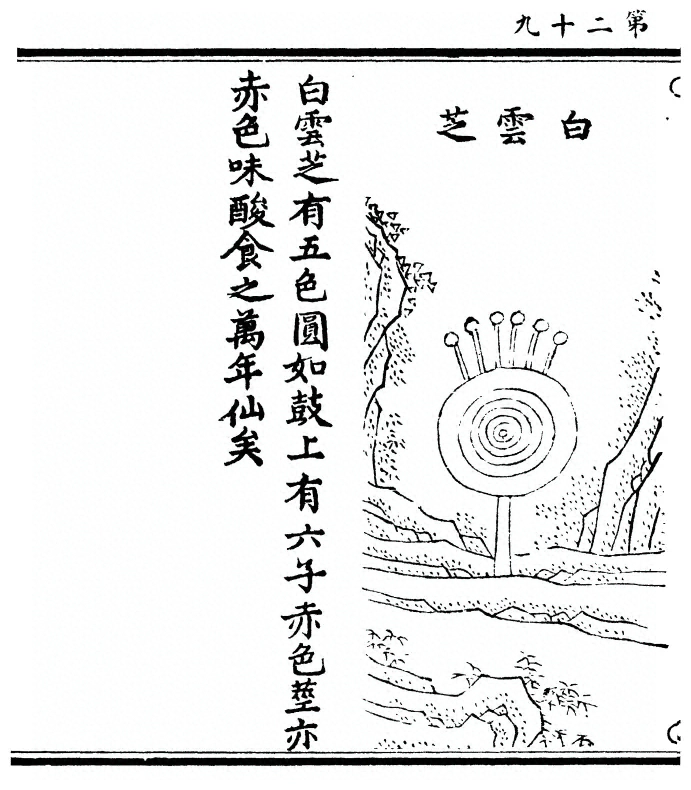 第 58 页