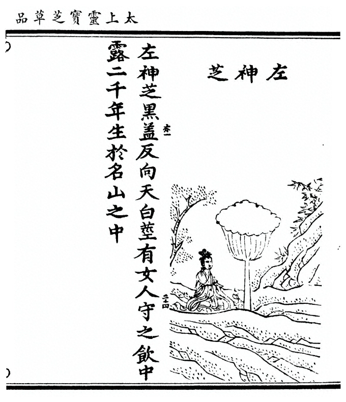 p. 59