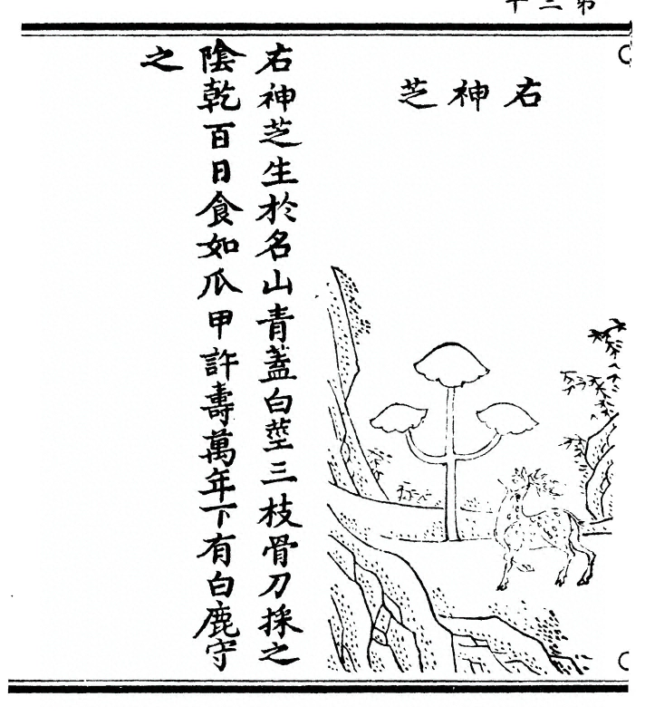 p. 60