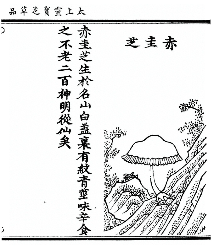 p. 63