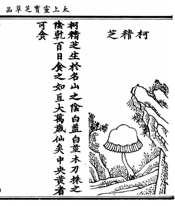 p. 65
