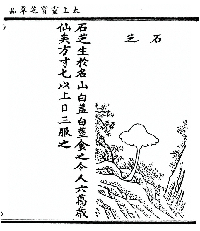 p. 67