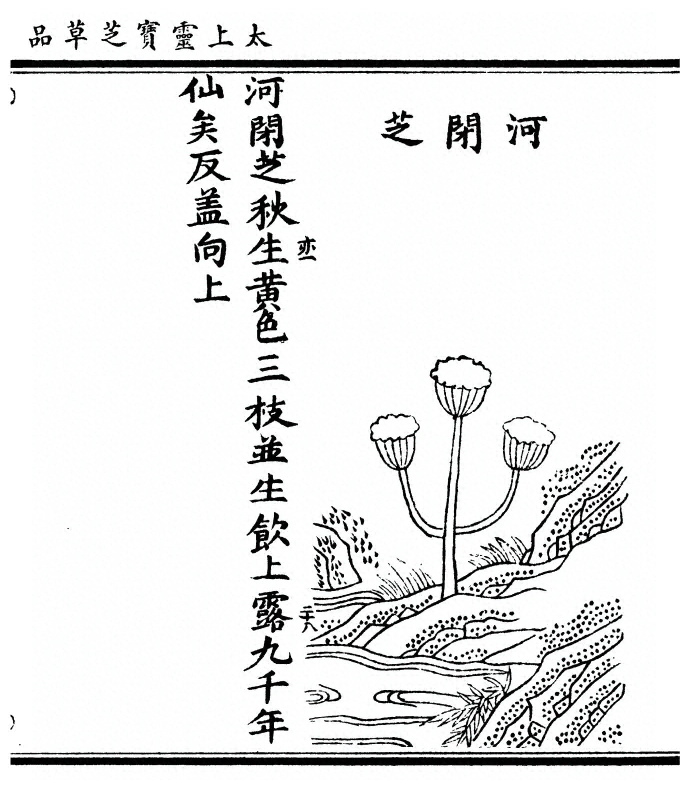 p. 69