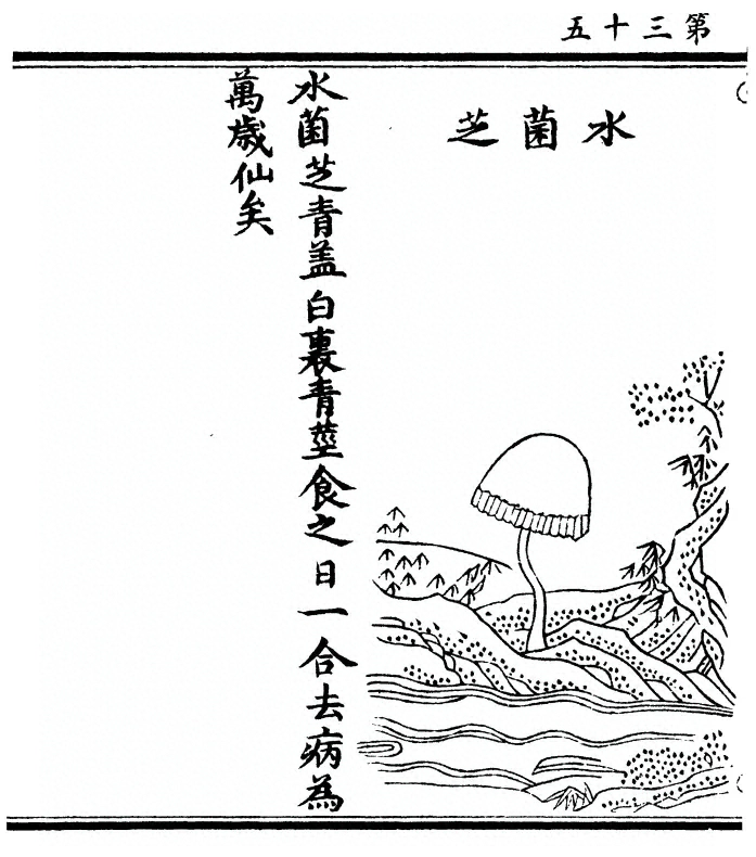 第 70 页