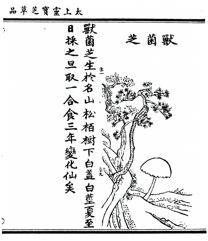 p. 71