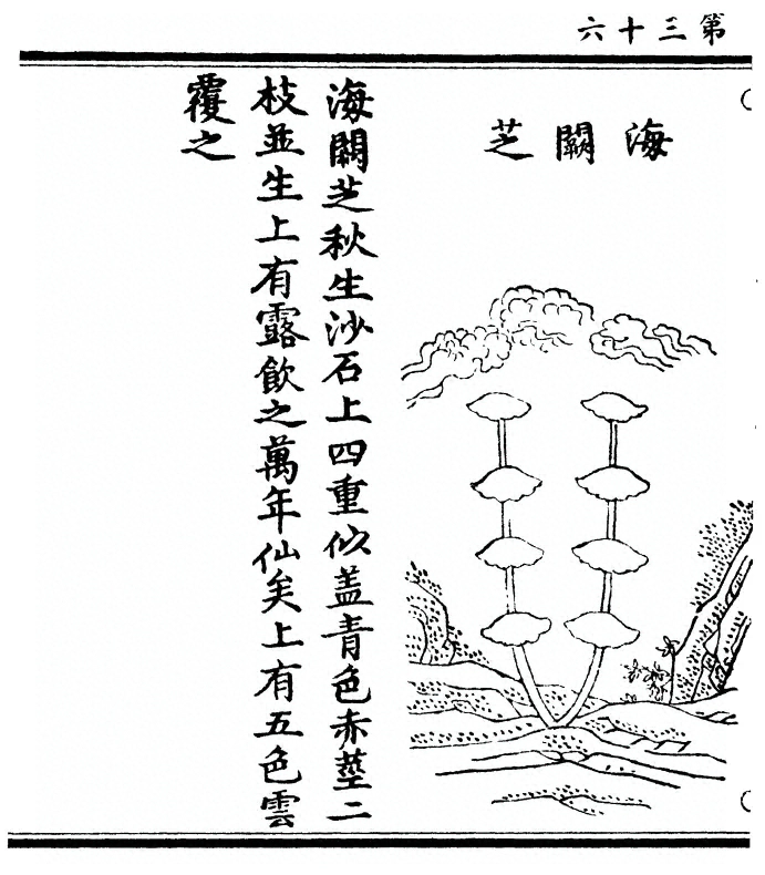 第 72 页
