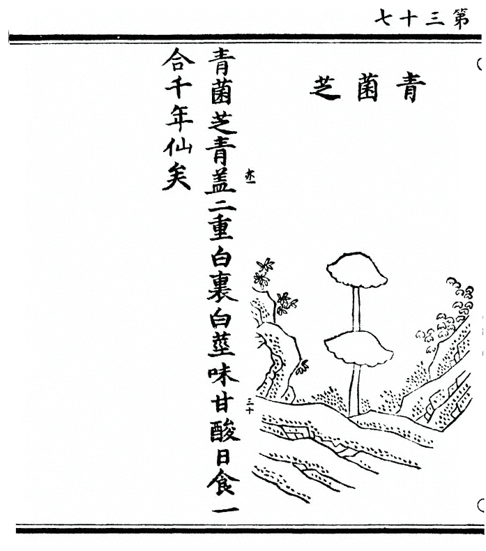 第 74 页