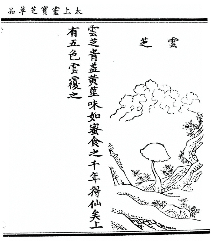 p. 75