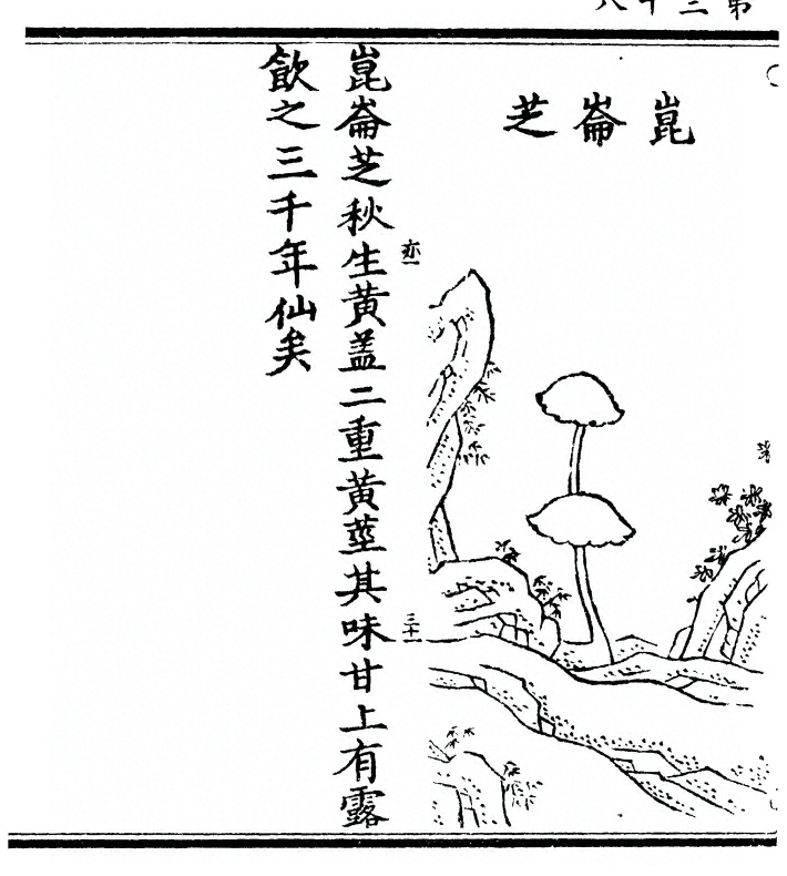 第 76 页