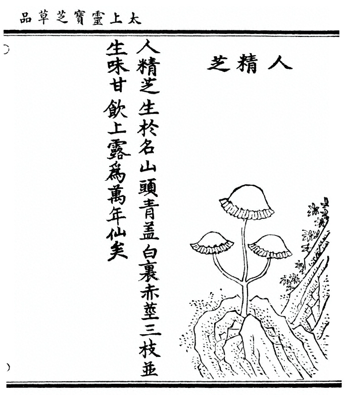 p. 77