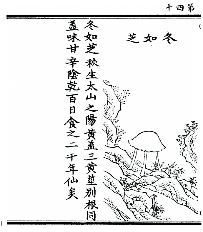 第 80 页
