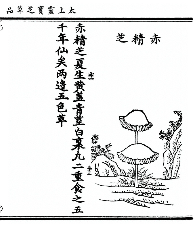 第 81 页