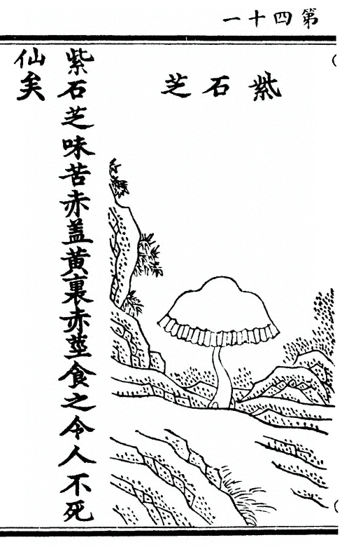 第 82 页