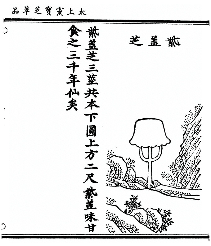 第 83 页