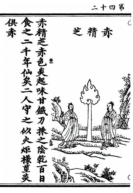 第 84 页