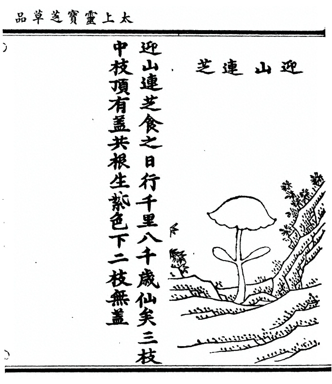 第 85 页