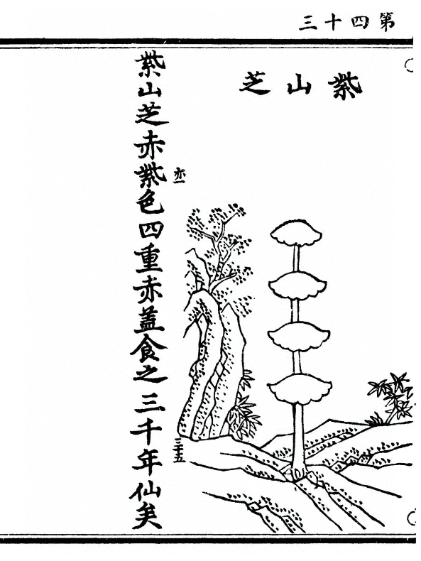第 86 页