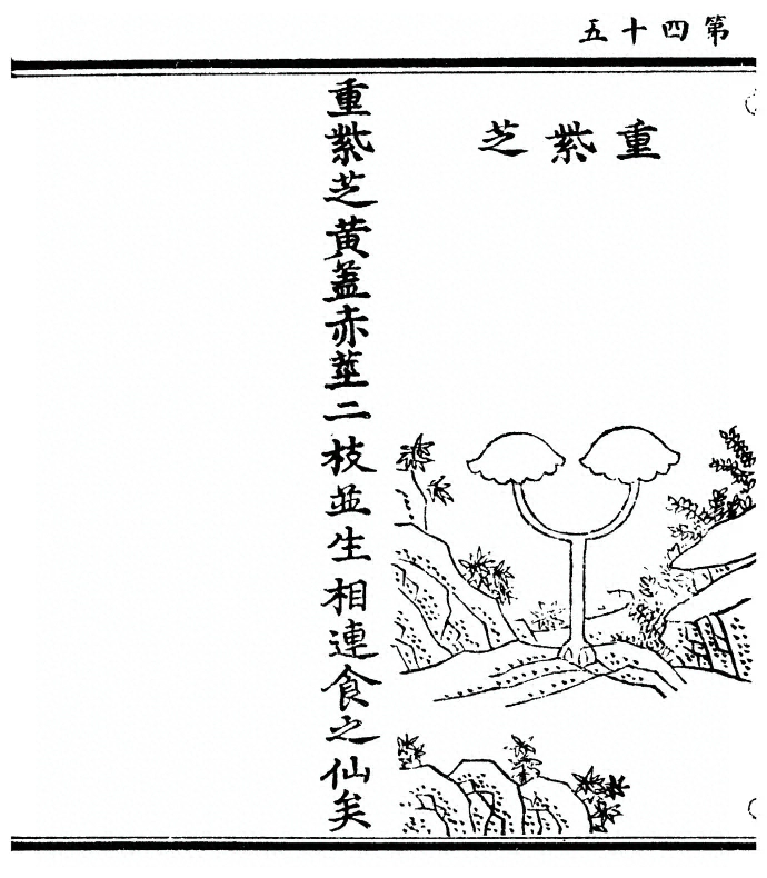 第 90 页