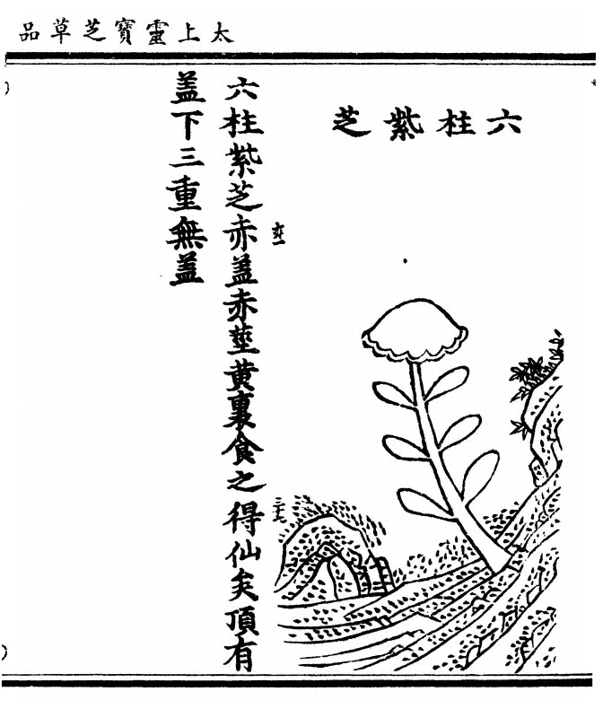 p. 91