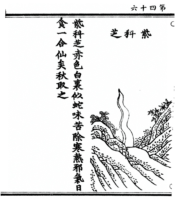 p. 92