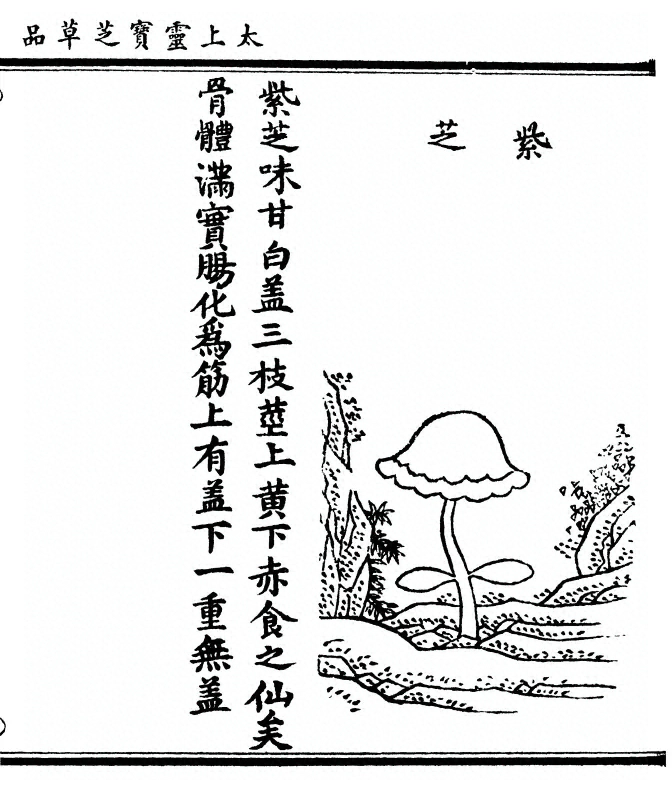 第 93 页